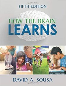 How the brain learns