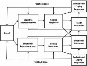 Leventhal’s Self-Regulatory Model adapted from Hagger and Orbell (2003)