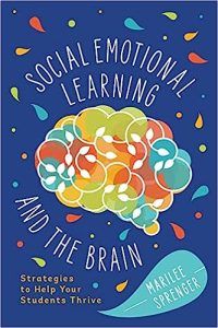 Social-Emotional Learning and the Brain