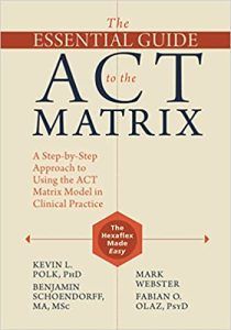 The Essential Guide to the ACT Matrix