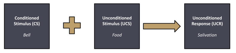 Classical Conditioning Stage 2