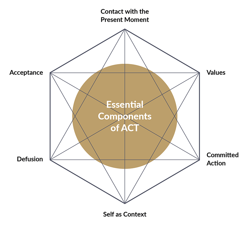 Hexaflex Model